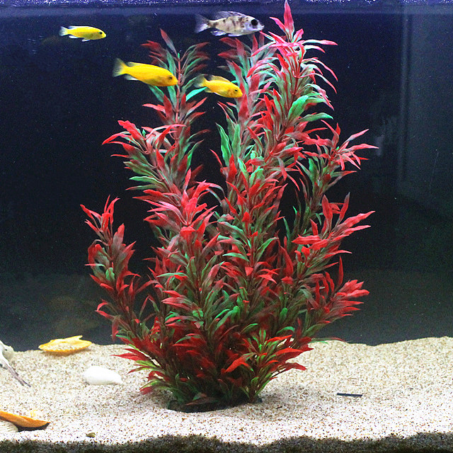 Ocean Aquarium - 50CM Acquario artificiale Piante rare Acquario