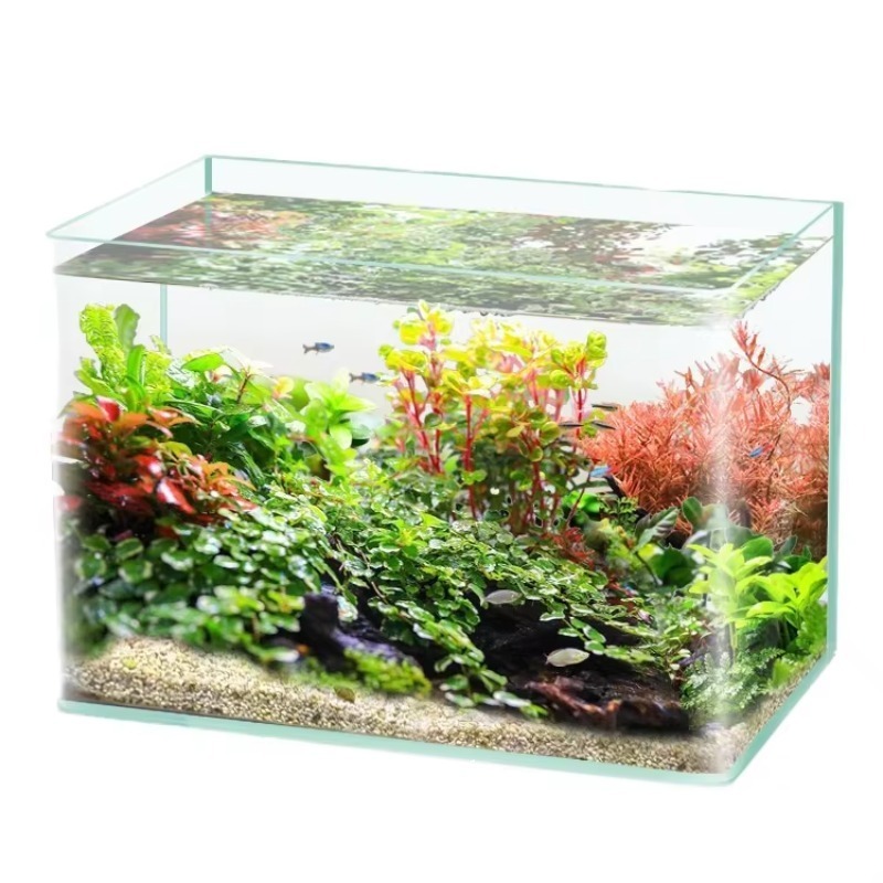 Scatola da imballaggio per acq - Saltwater Tank recensione e prezzo