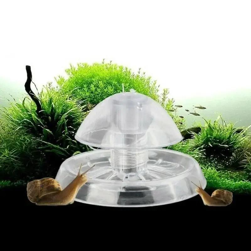 Nuova Trappola per Lumache in  - Ocean Aquarium recensione e prezzo