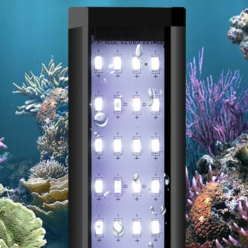 Lampada LED Professionale per  - Reef Lighting recensione e prezzo