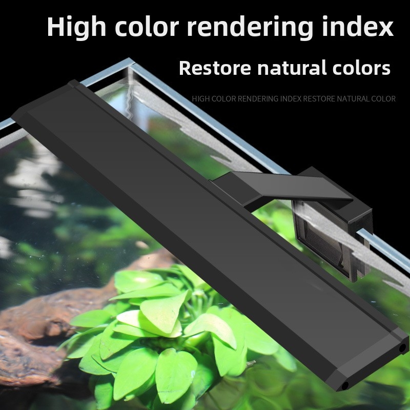 Lampada LED Professionale per  - Reef Lighting recensione e prezzo