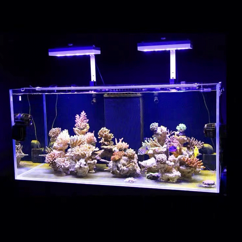 Luce LED Aqua Illumination AI  - Marine Coral recensione e prezzo