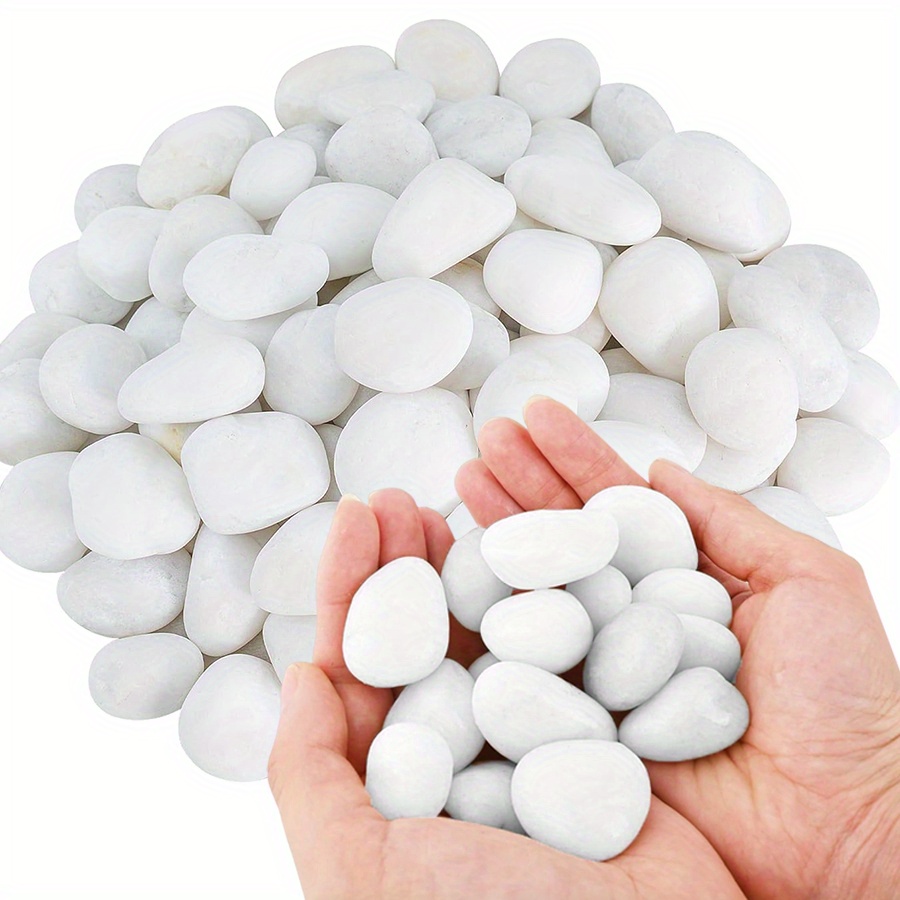 200/400g Bianco Alto Lucido Ci - Marine Fish Tank recensione e prezzo