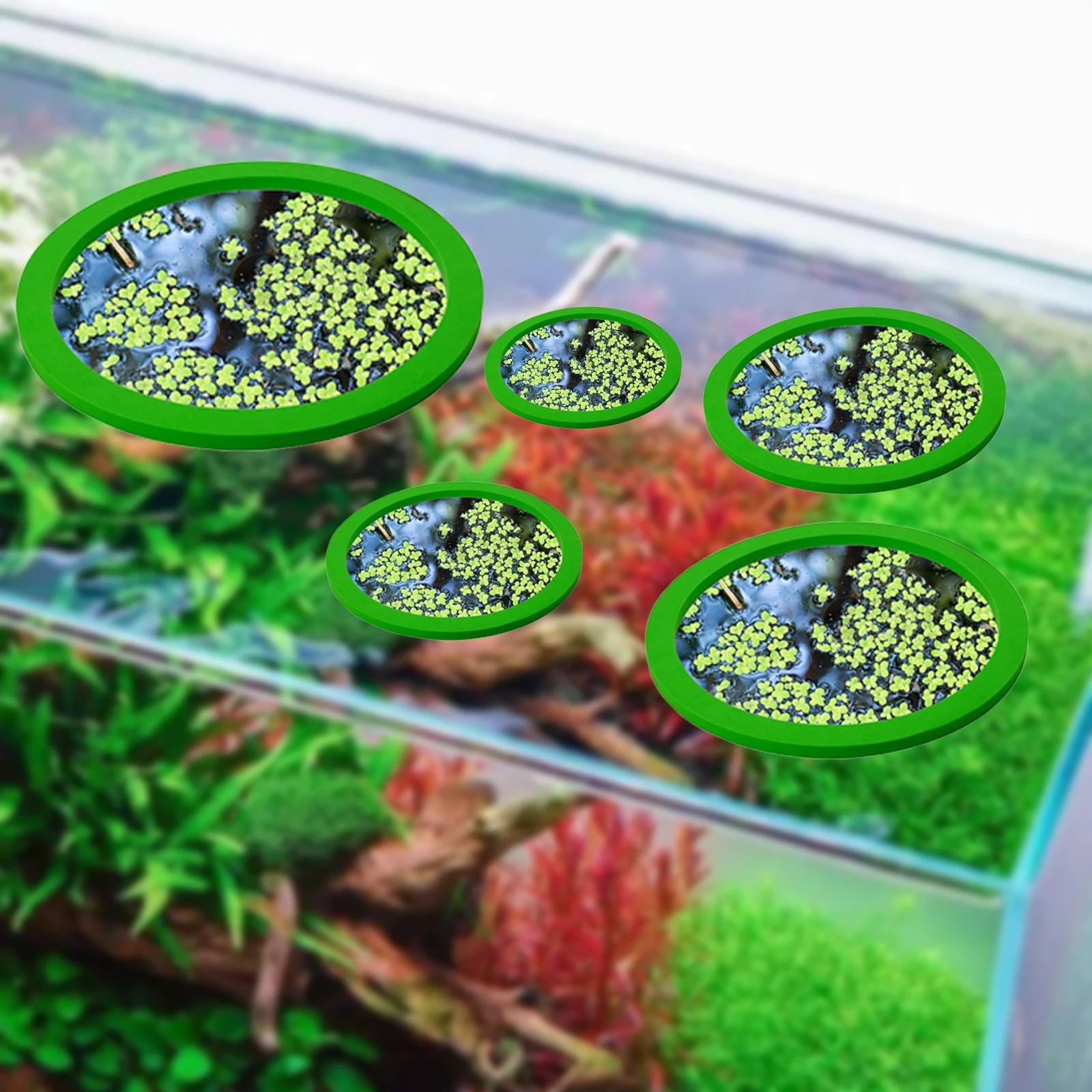 5 pz EVA Anello di Alimentazio - Ocean Aquarium recensione e prezzo