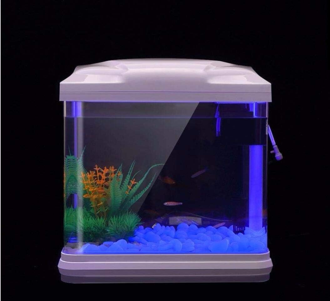 Rocce per acquari che si illum - Ocean Aquarium recensione e prezzo