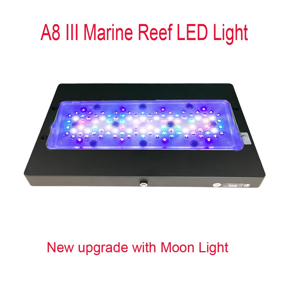 A8 III Moon Light Potente Illu - Marine Coral recensione e prezzo