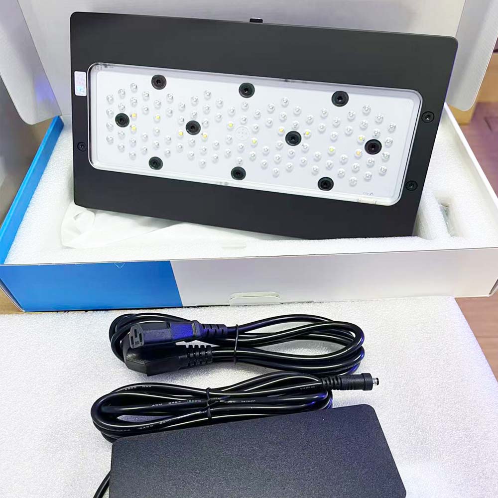 A8 III Moon Light Potente Illu - Marine Coral recensione e prezzo