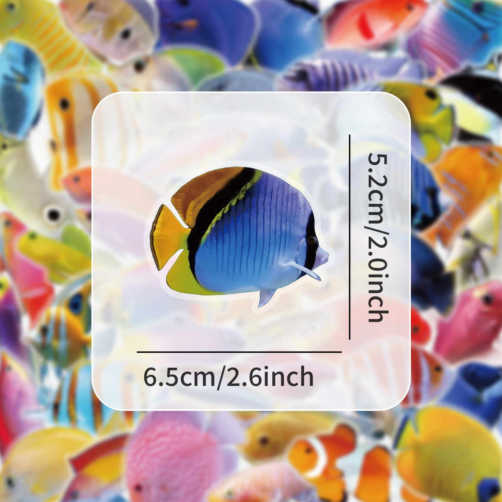50-100 Pezzi Adesivi Trasparen - Marine Coral recensione e prezzo