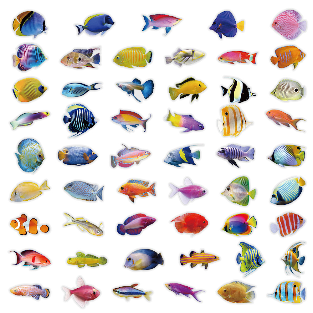 50-100 Pezzi Adesivi Trasparen - Marine Coral recensione e prezzo